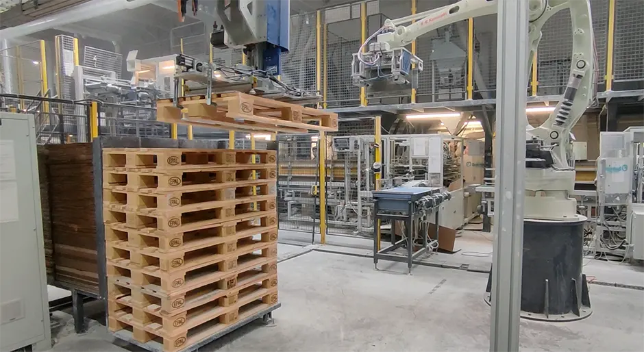 Cartesian Palletizing Robots 1