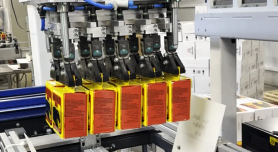 Cartesian Palletizing Robots 2