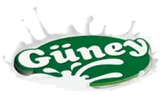 Güney Logo